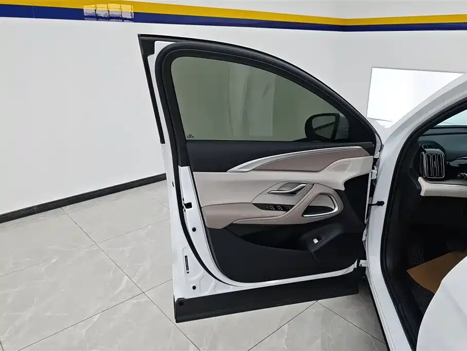 BYD Pro New Energy — фото 4