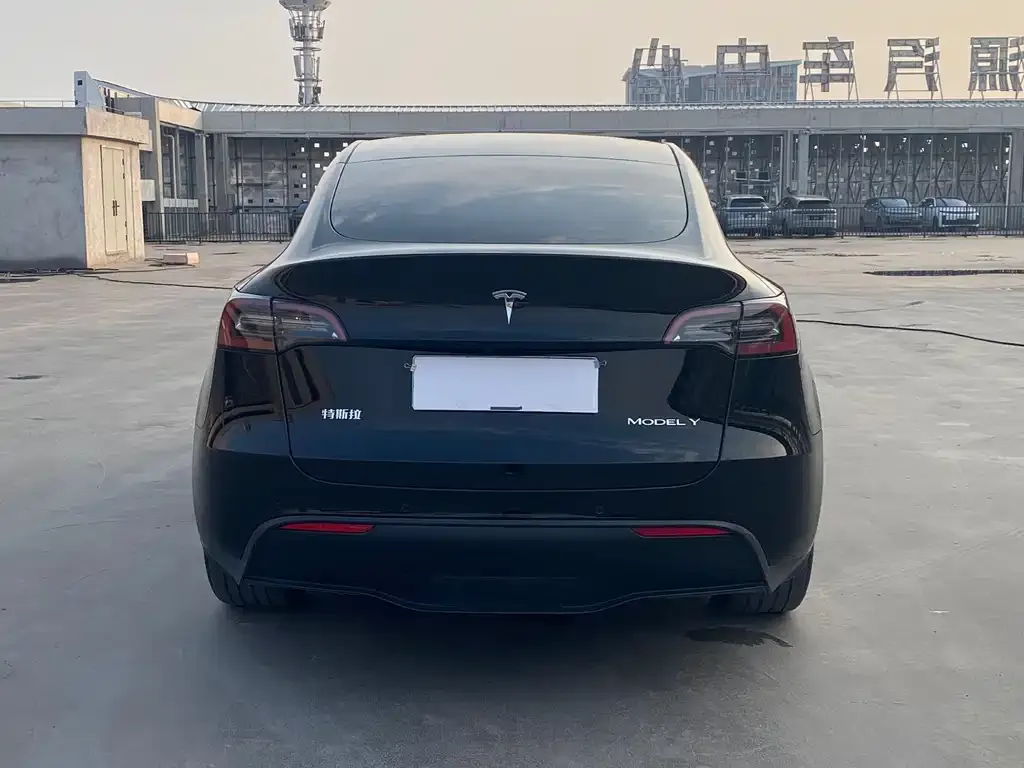 Tesla Model Y — фото 8