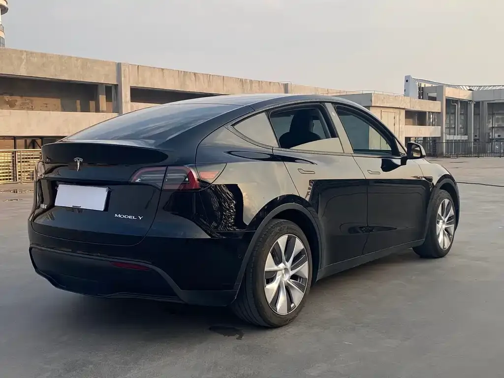 Tesla Model Y — фото 9