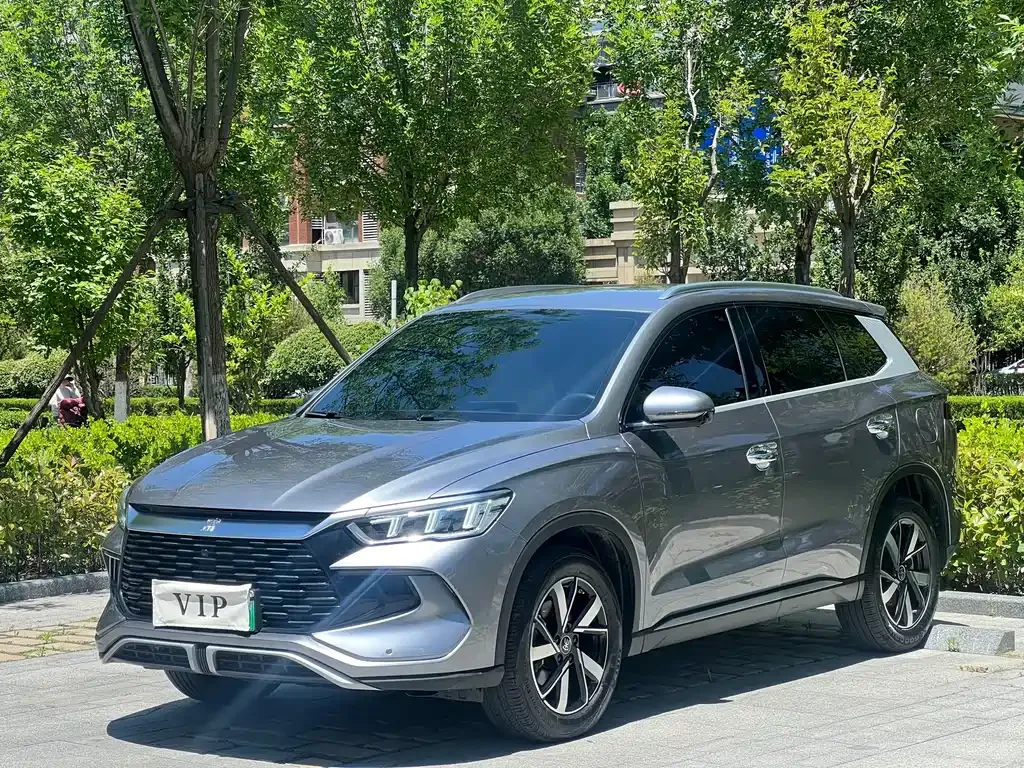 BYD Pro New Energy
