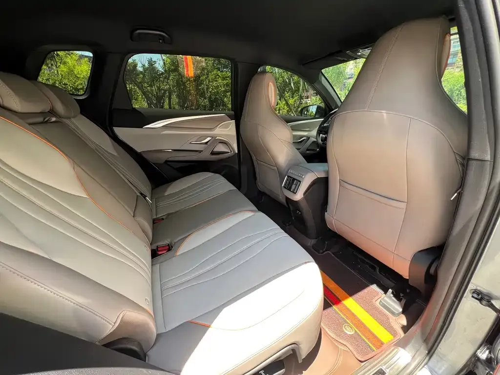 BYD Pro New Energy 2024 из CN, фото 4