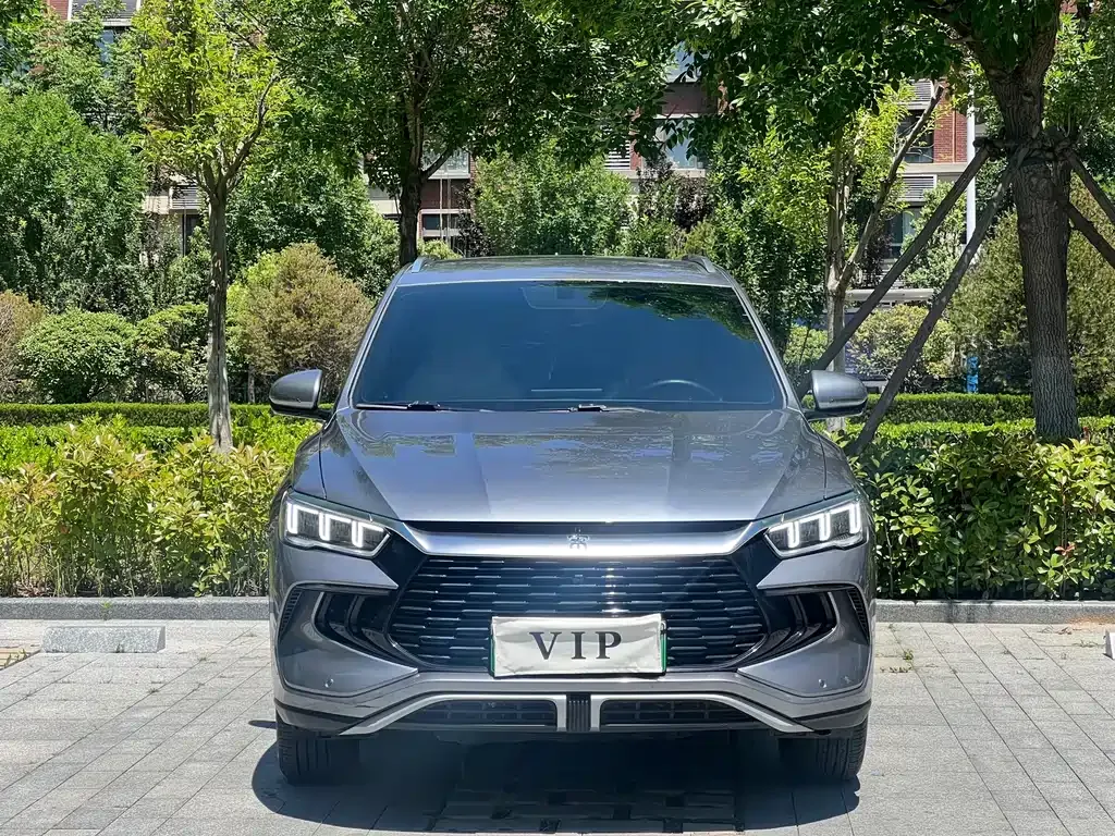 BYD Pro New Energy 2024 из CN, фото 5