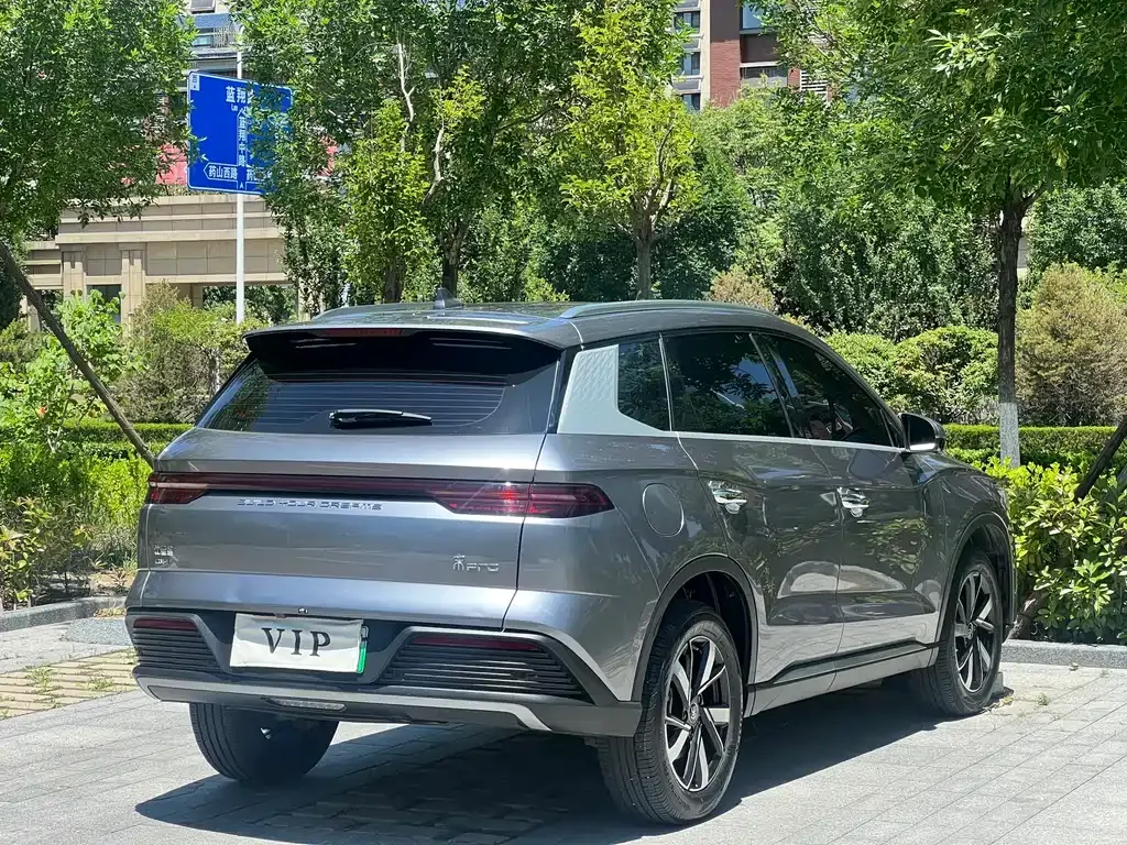 BYD Pro New Energy 2024 из CN, фото 9