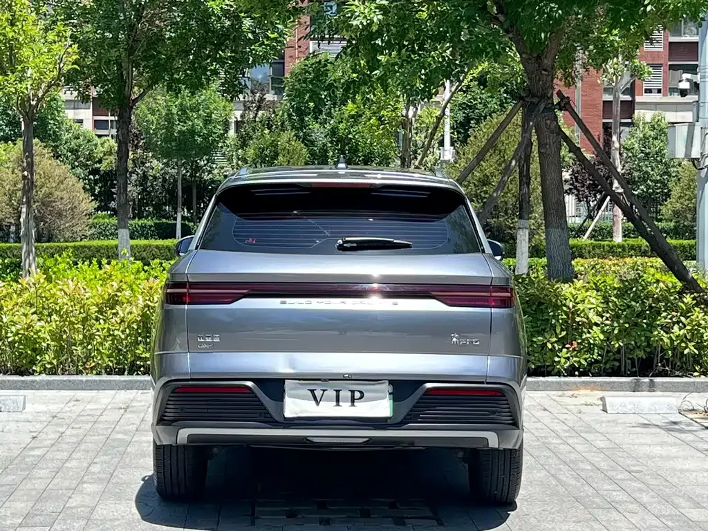 BYD Pro New Energy 2024 из CN, фото 2