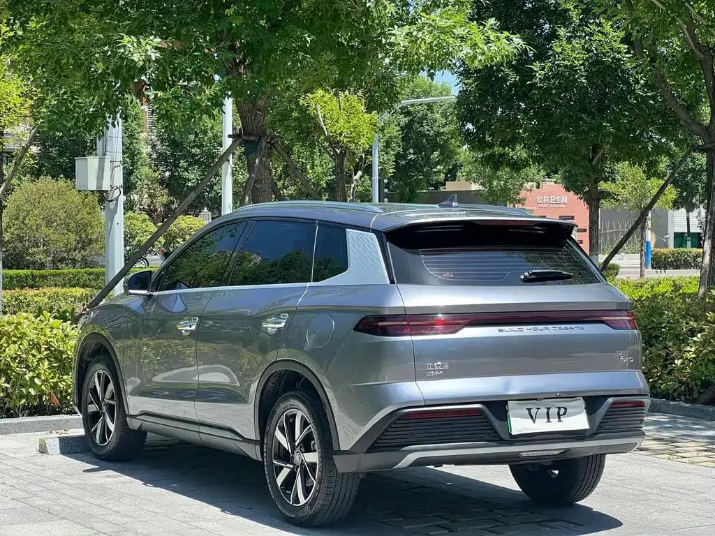 BYD Pro New Energy 2024 из CN, фото 10