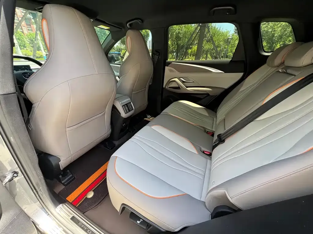 BYD Pro New Energy 2024 из CN, фото 3