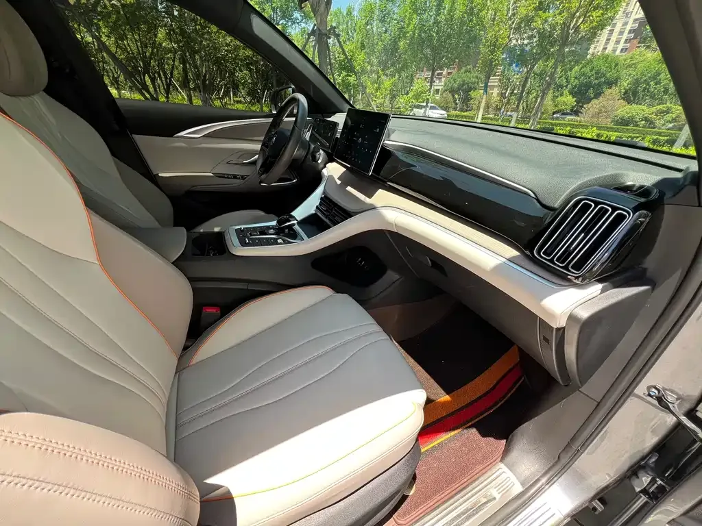 BYD Pro New Energy 2024 из CN, фото 6