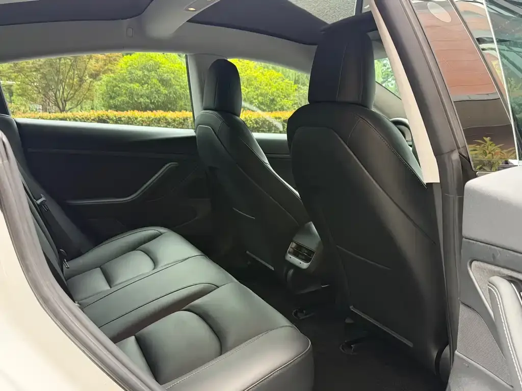 Tesla Model 3 2023 из CN, фото 3