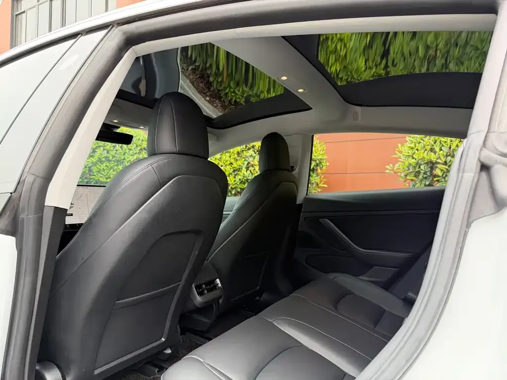 Tesla Model 3 2023 из CN, фото 2