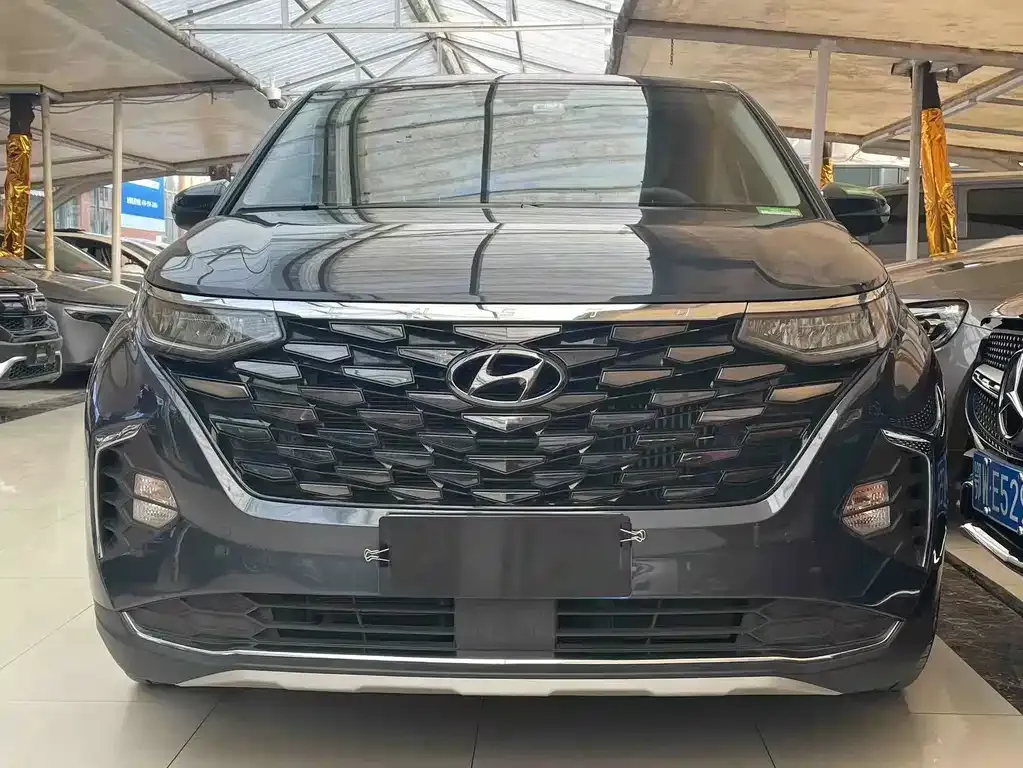 Hyundai Custo — фото 8