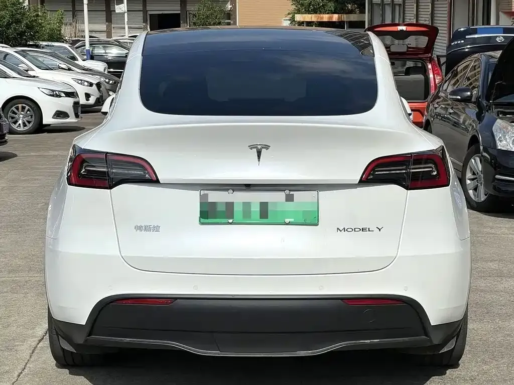Tesla Model Y 2024 из CN, фото 6