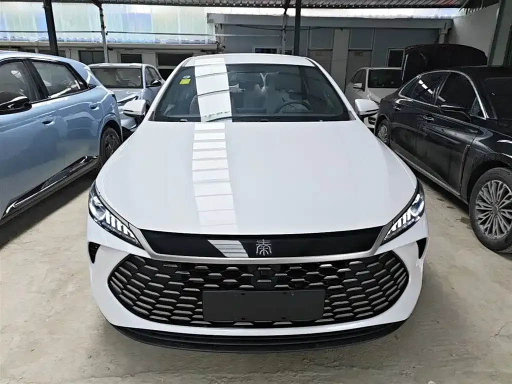 BYD Qin PLUS — фото 7