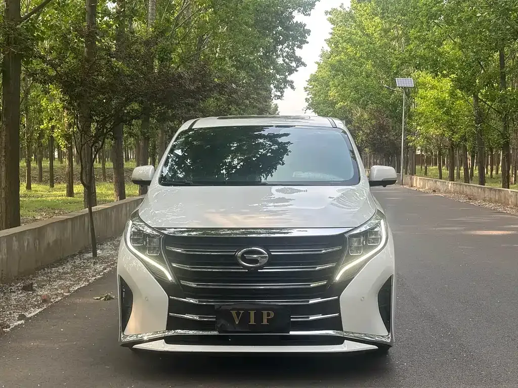 GAC Motor Trumpchi M8 2021 из CN, фото 6