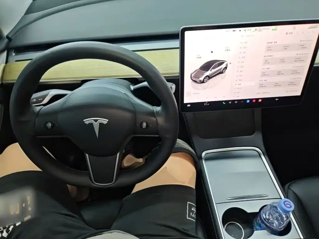 Tesla Model Y — фото 2