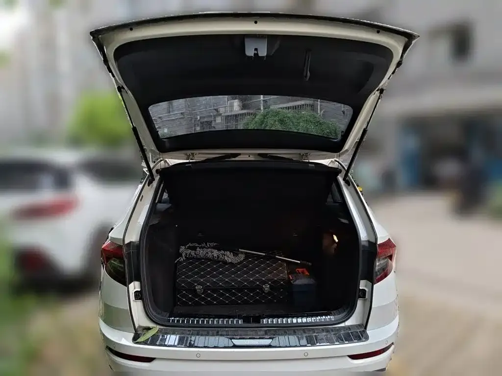 Skoda Karoq 2022 из CN, фото 4