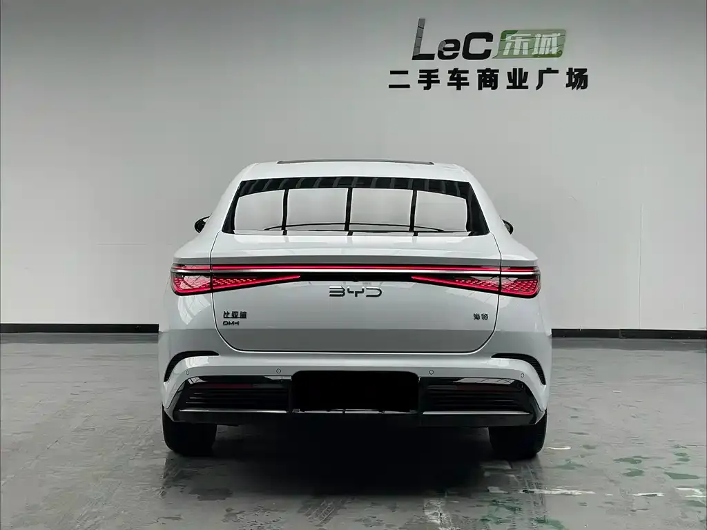 BYD Seal 2023 из CN, фото 4