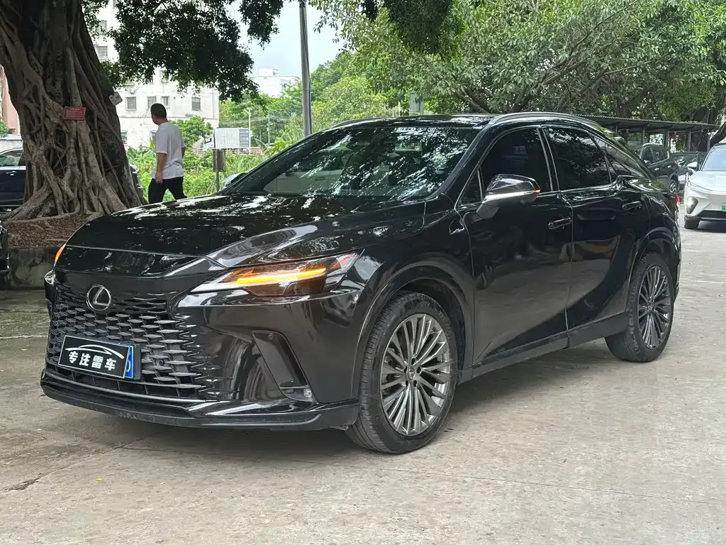 Lexus RX — фото 1