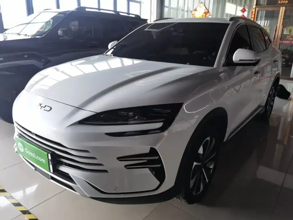 BYD PLUS New Energy — фото 1