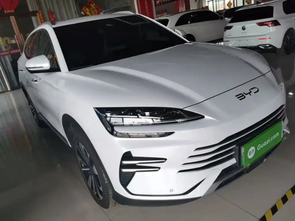 BYD PLUS New Energy — фото 8
