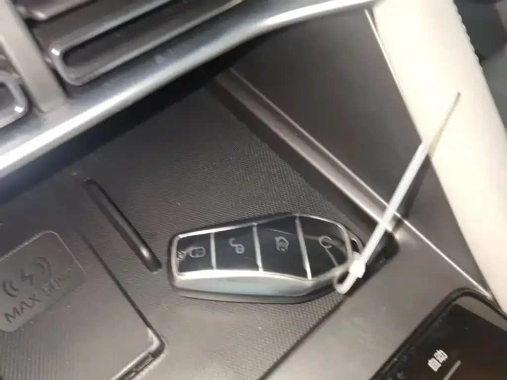 BYD PLUS New Energy — фото 10