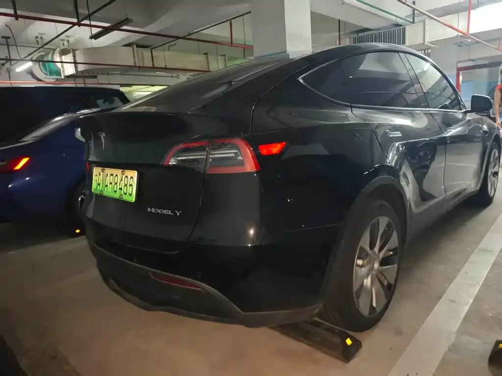 Tesla Model Y — фото 2