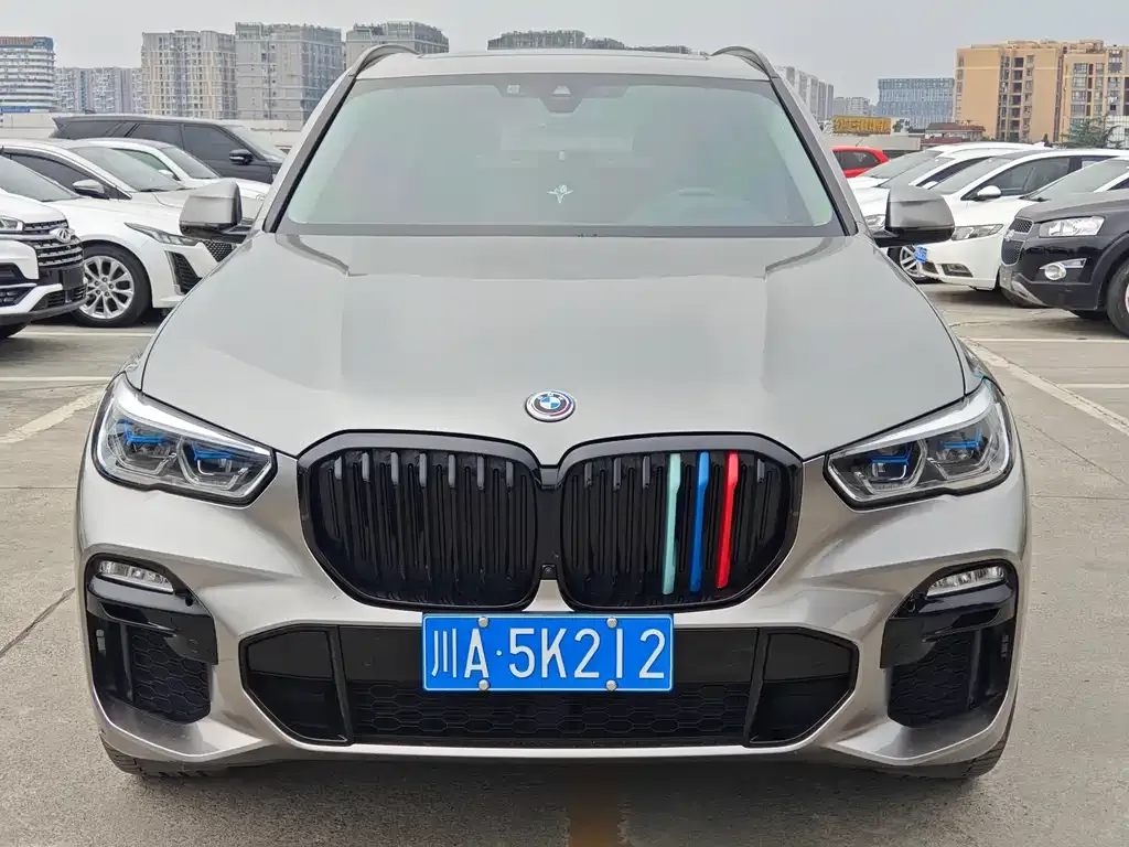 BMW X5 (Import) 2021 из CN, фото 8