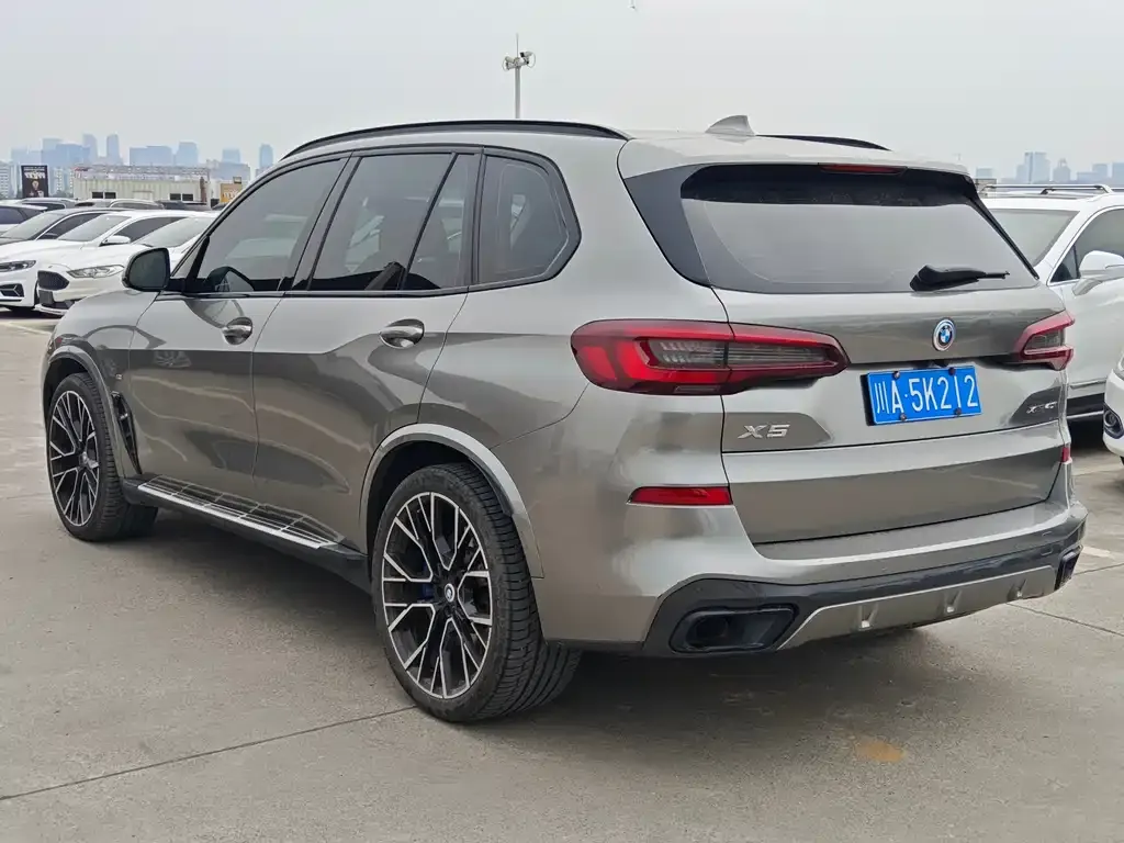 BMW X5 (Import) 2021 из CN, фото 5