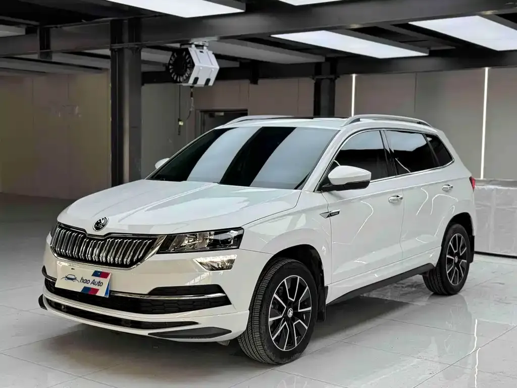 Skoda Karoq 2023 из CN, фото 1