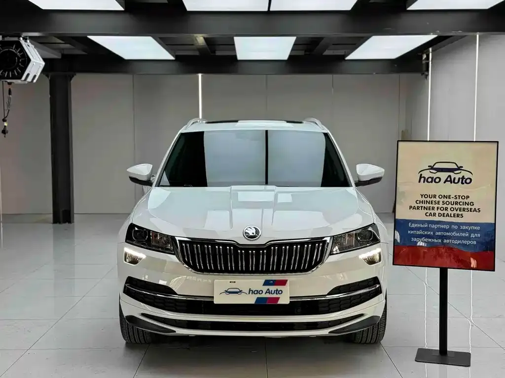 Skoda Karoq 2023 из CN, фото 5