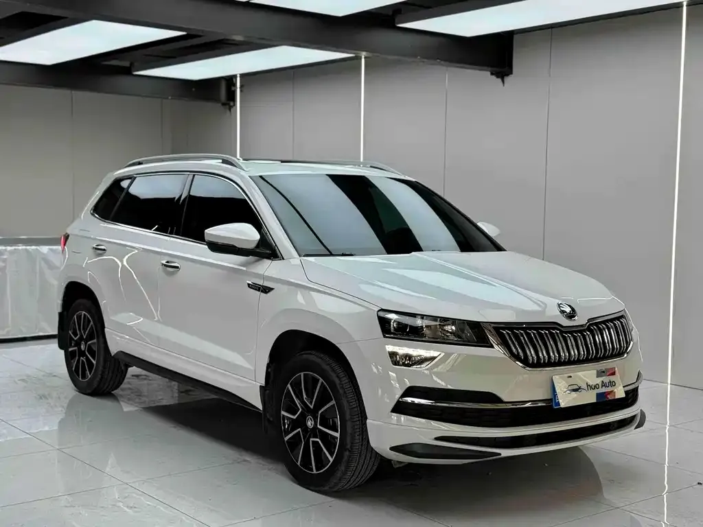 Skoda Karoq 2023 из CN, фото 3