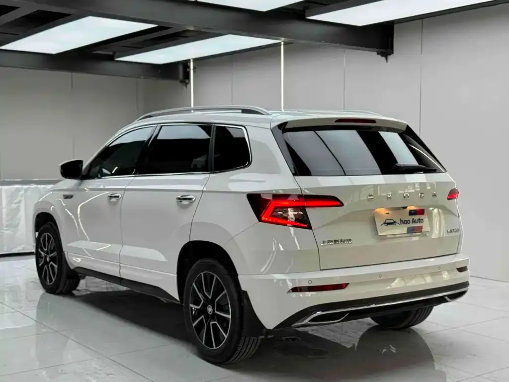 Skoda Karoq 2023 из CN, фото 6
