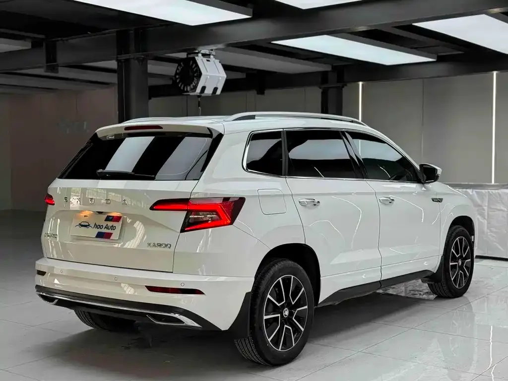 Skoda Karoq 2023 из CN, фото 7