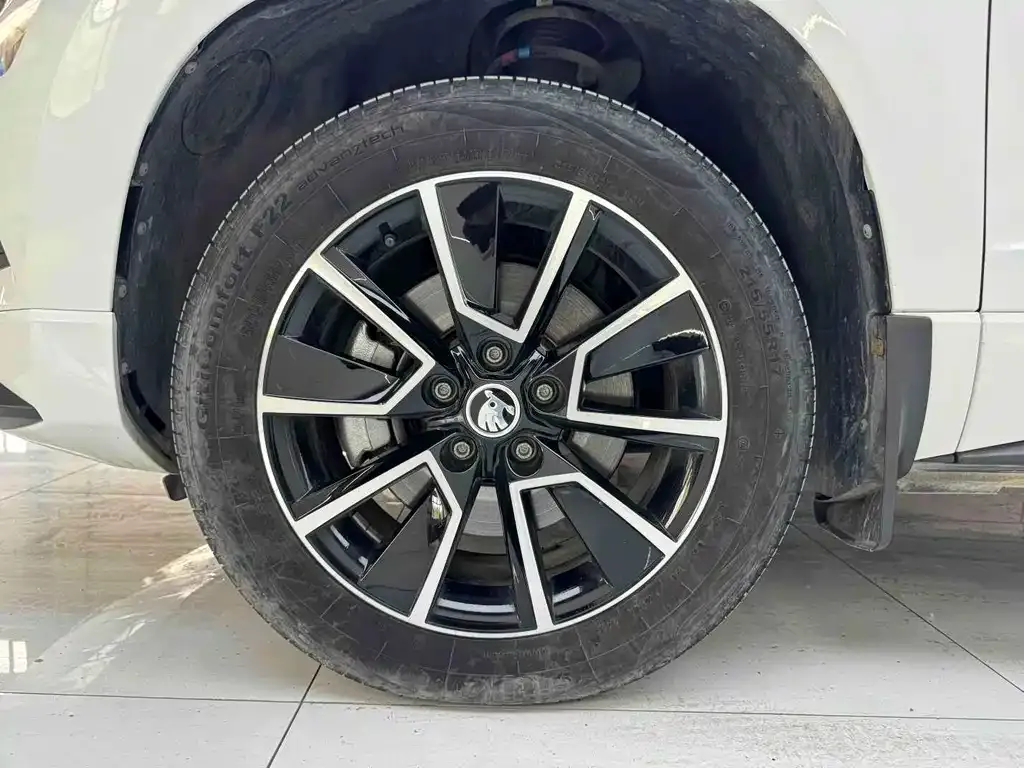 Skoda Karoq 2023 из CN, фото 10