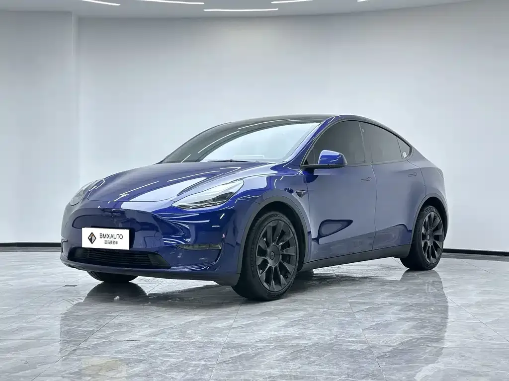 Tesla Model Y — фото 1