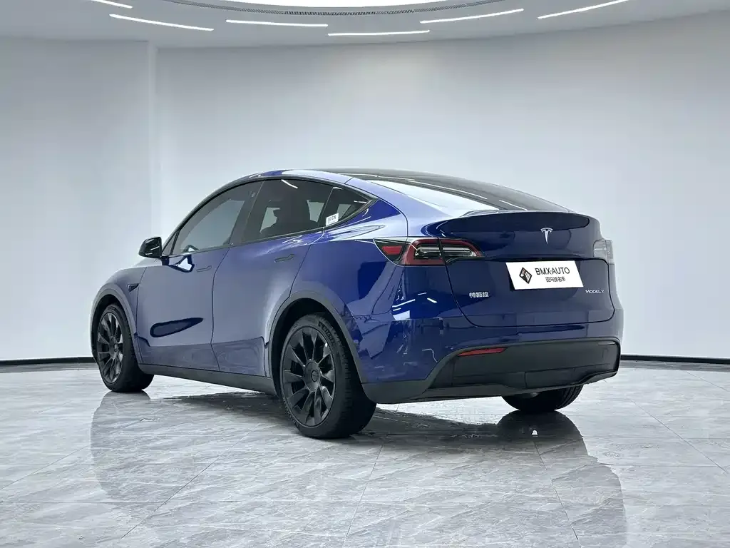 Tesla Model Y — фото 10