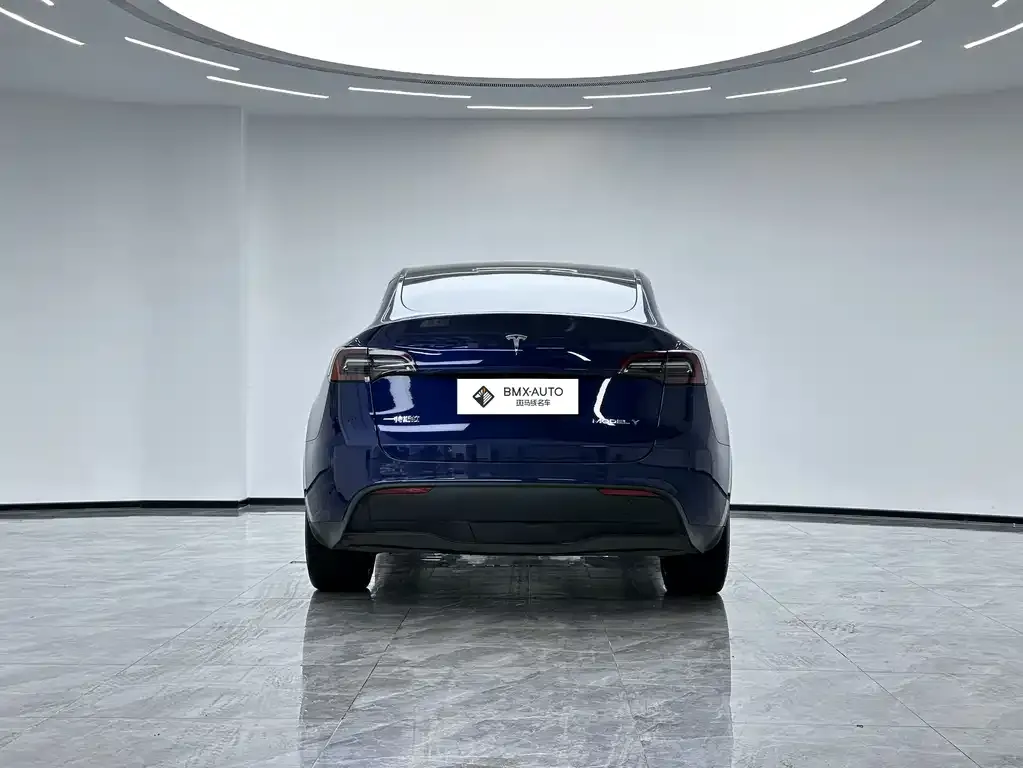 Tesla Model Y — фото 5