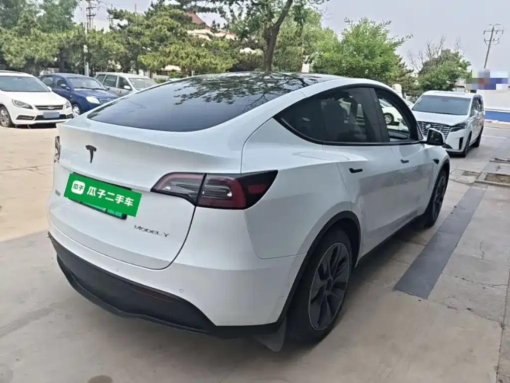 Tesla Model Y — фото 9