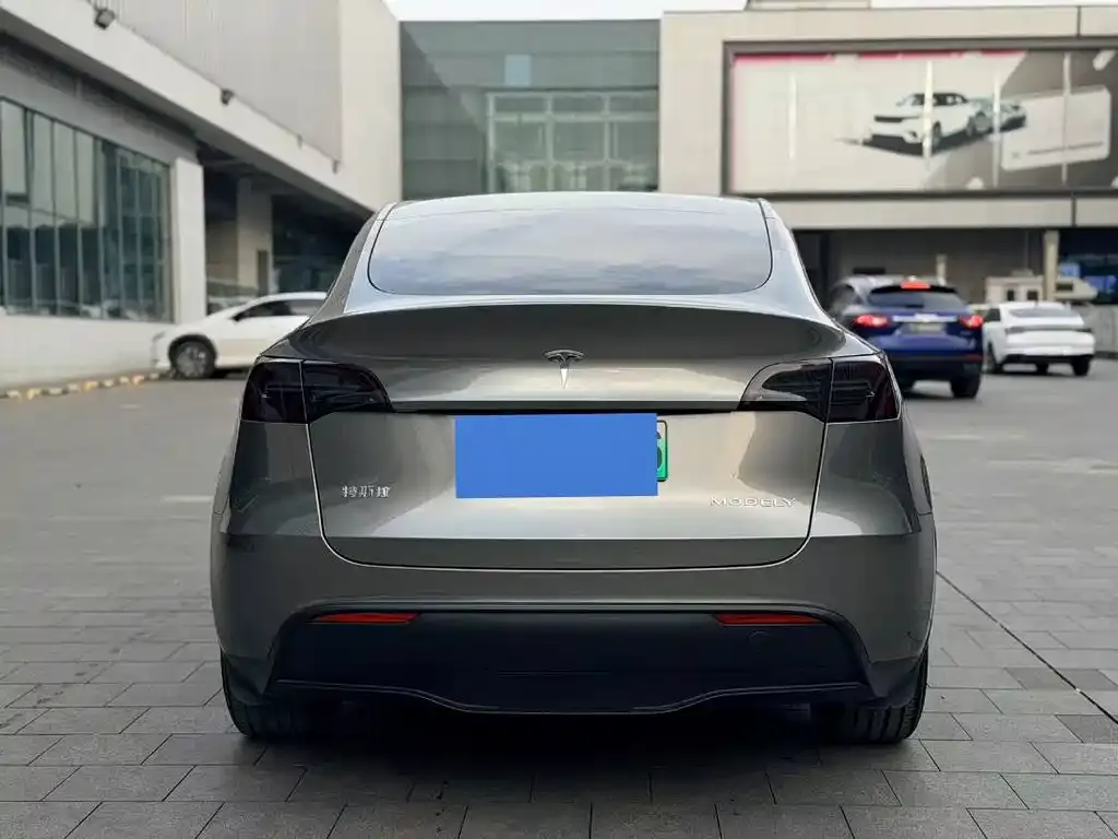Tesla Model Y — фото 2