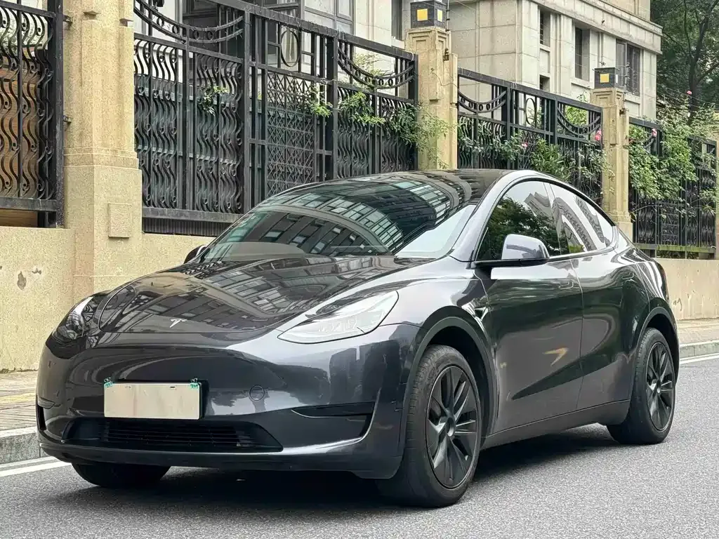 Tesla Model Y — фото 1
