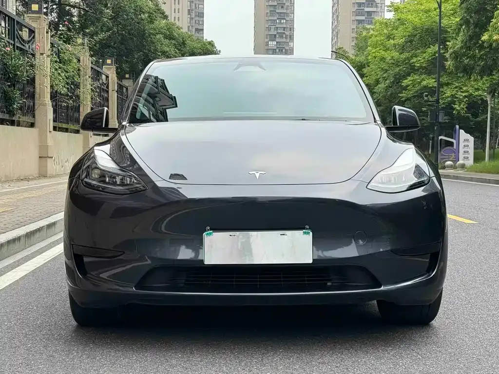 Tesla Model Y — фото 9