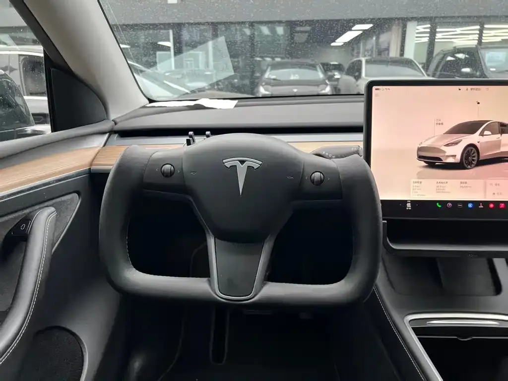 Tesla Model Y — фото 5
