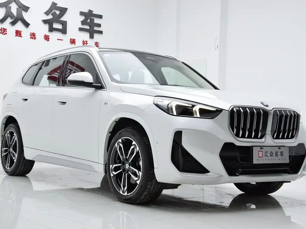BMW X1 — фото 9