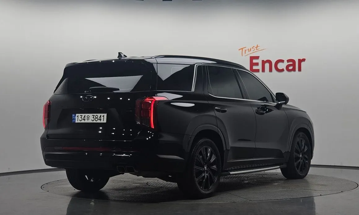 Hyundai Palisade 2024 из KR, фото 4