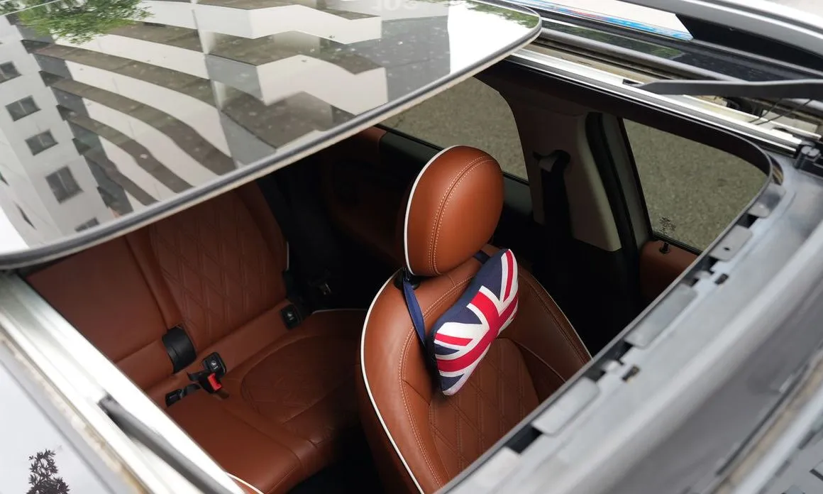 Mini Countryman 2021 из KR, фото 5
