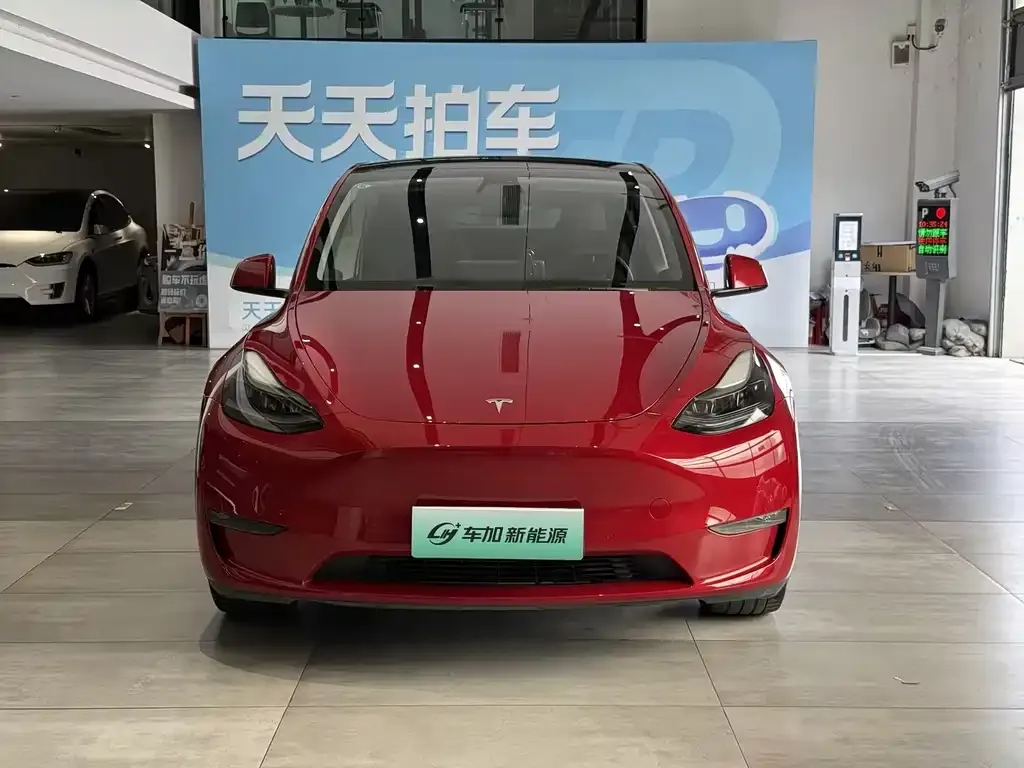 Tesla Model Y — фото 3