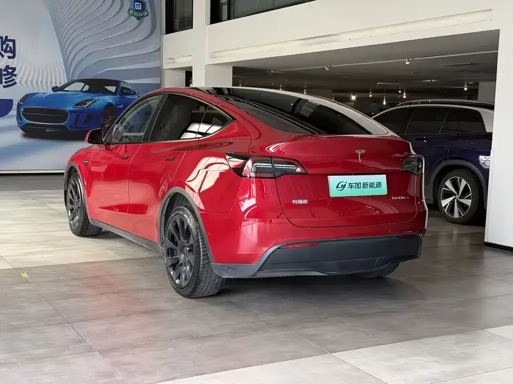 Tesla Model Y — фото 8