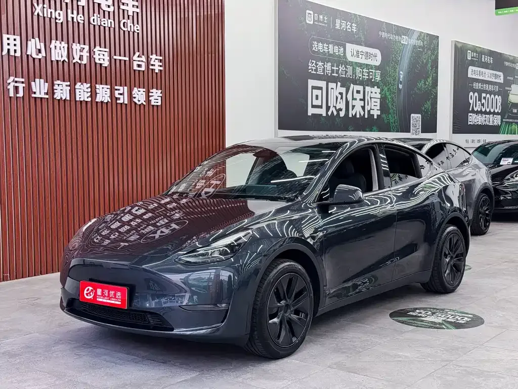 Tesla Model Y — фото 1