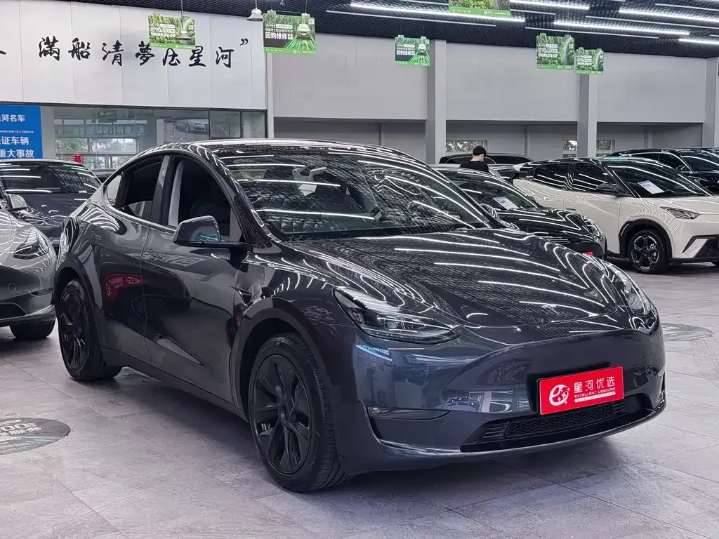 Tesla Model Y — фото 7