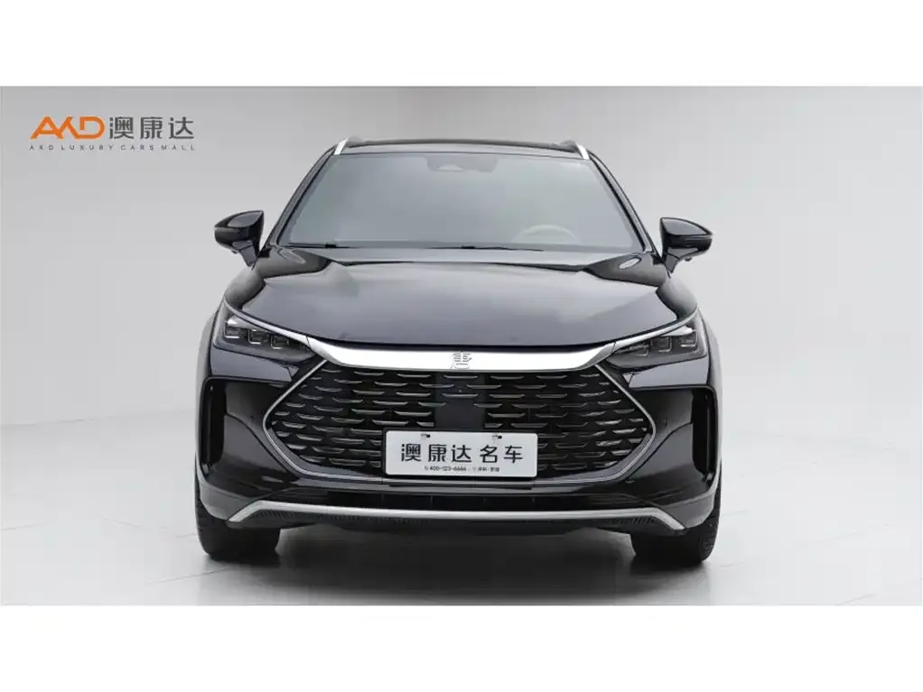 BYD Tang New Energy — фото 9