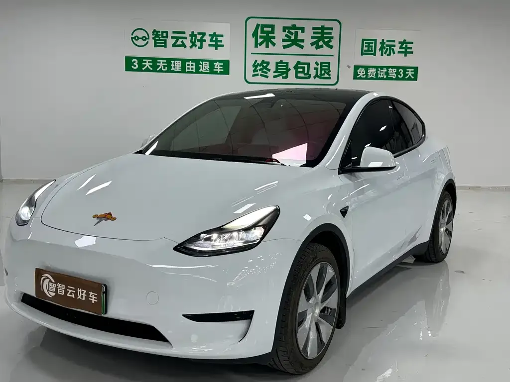 Tesla Model Y — фото 1